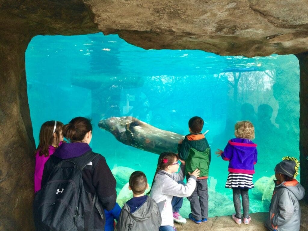 roger williams zoo