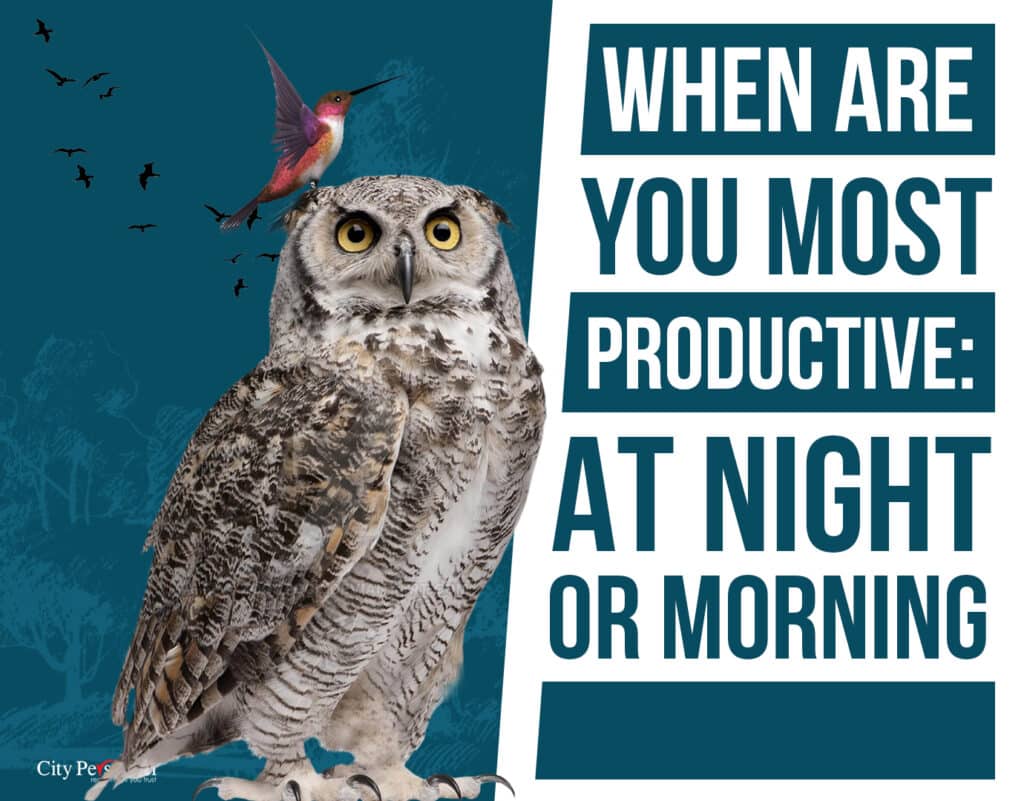When Are You Most Productive Late Night vs. Early Morning