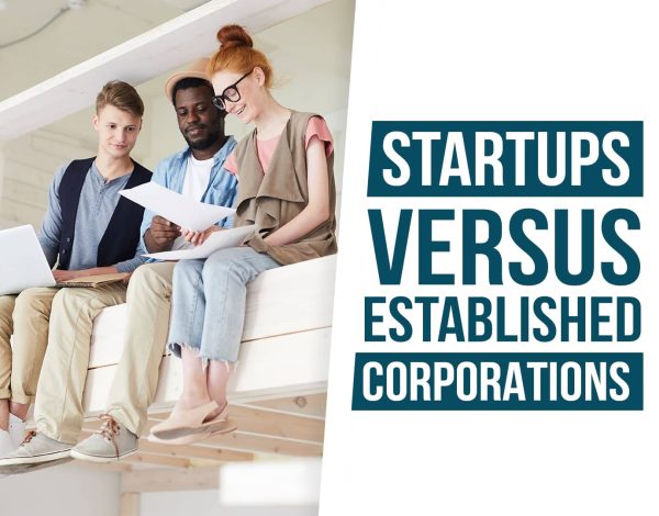 Startups vs. Established Corporations Pros and Cons for Job Seekers