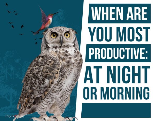 When Are You Most Productive Late Night vs. Early Morning